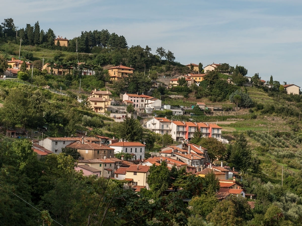 Territorio
